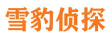 漳平市侦探公司